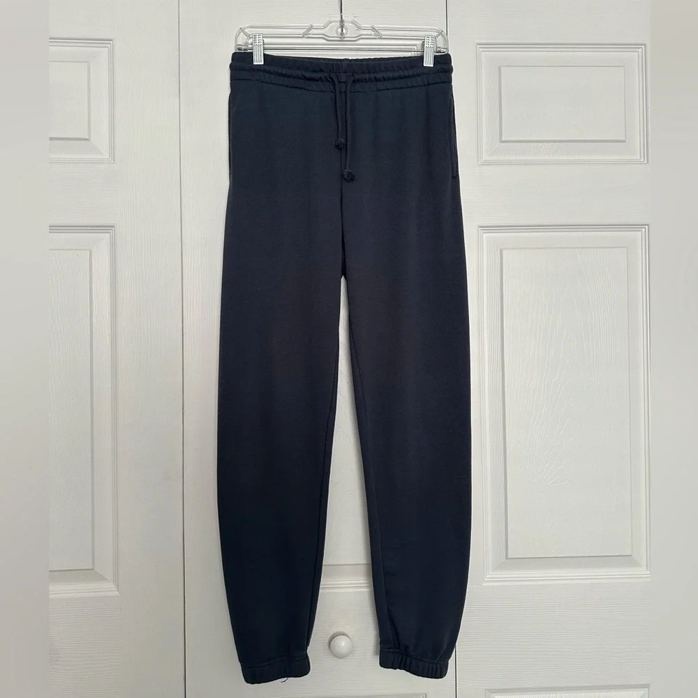 Aritzia TNA Women’s Airy AF Bluish Gray Perfect Joggers - Size M - EUC - Picture 1 of 6